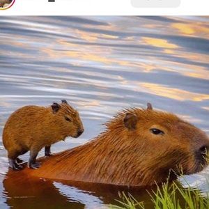 Meet your Posher, Christian